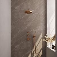 BRAUER Stripe Thermostatische Inbouw Regendouche - SET 02 - 25cm douchekop - gebogen muurarm - staaf handdouche - doucheslang - wandaansluitbocht - koper geborsteld PVD 5-GK-367