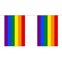 Polyester regenboog vlaggenlijn 18 m
