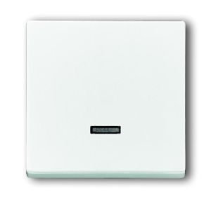 Busch-Jaeger bedieningselement 6543-884-101 studiowit mat