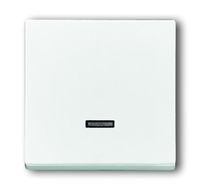 Busch-Jaeger bedieningselement 6543-884-101 studiowit mat