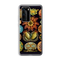 Haeckel Ascidiae: Huawei P40 Pro Transparant Hoesje