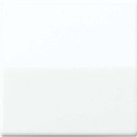 AS 591 BFS WW  - Cover plate for switch/push button white AS 591 BFS WW - thumbnail