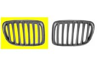 GRILL RECHTS SIERROOSTER Silver 0678514