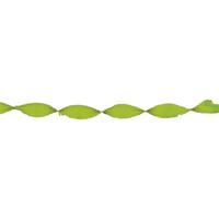 Crepe papier slinger - lime groen - 6 meter - feestartikelen en versiering