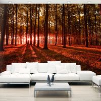 Zelfklevend fotobehang - Herfst Ochtend, Bos, 8 maten, premium print - thumbnail