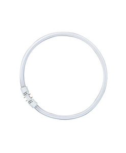 FC 40W/830  - Fluorescent lamp ring shape 40W 16mm FC 40W/830