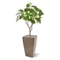 Ficus Umbellata kunstplant 90cm