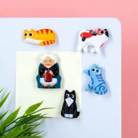 Kattenvrouwtje magneten (set van 5)