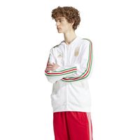 adidas Italië DNA Hooded Vest 2024-2026 Wit Goud