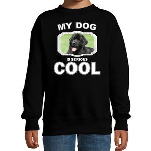 Honden liefhebber trui / sweater Newfoundlander my dog is serious cool zwart voor kinderen