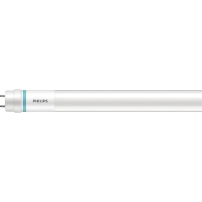 Philips LED LED-buis-Buis Energielabel: D (A - G) G13 T8 20.5 W Warmwit 1 stuk(s) (Ø x l) 28 mm x 1513 mm Conventioneel voorschakelapparaat, Verliesarm