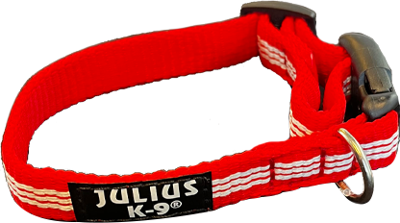 IDC Halsband - Rood - 24-36cm