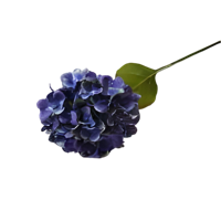 Kunst hortensia tak blauw 62 cm - Buitengewoon de boet