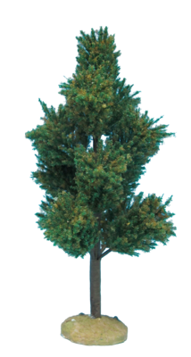 Boom H 15 cm - Oosterik home