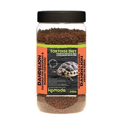 Komodo voer schildpad paardenbloem