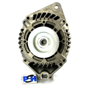 Dynamo Citroen / Peugeot 80A 225506080000