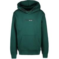 Cars winter sweater meisjes - Neiva - groen