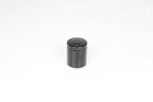 Oliefilter BSG25140005