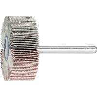 PFERD TOOLS 44404246 Lamellenschijf Diameter 40 mm 10 stuk(s)