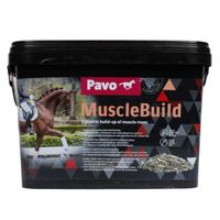 Pavo MuscleBuild II 3kg - thumbnail