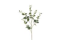 Decostar Countryfield Kunstblad Eucalyptus Cinerea M groen-L15B15H94CM