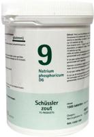 Natrium phosphoricum 9 D6 Schussler 1000 Tabletten