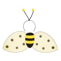 Boland Verkleedset bij