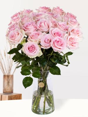 10, 20 of 30 zachtroze rozen - Sweet Revival