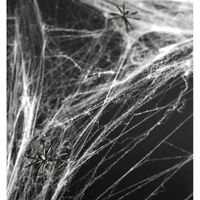 3x Witte spinnenweb decoratie met 2 spinnen