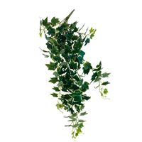 HEM Klimop (Hedera Helix Bont) Kunstplant Volle Hangplant - Kunstplant 100 cm - Levensechte Kunstplant - thumbnail