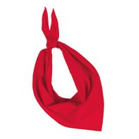 Rode hals zakdoeken bandana style   -