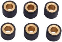 RMS Roller core set 16 x 13 mm, 9.5 g, 6 pcs.