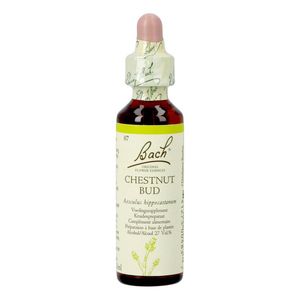 Bach Flower Remedie 07 Chestnut Bud 20ml