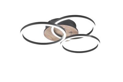 Trio PlafondlampCircle Ø 43,5cm - R62823135