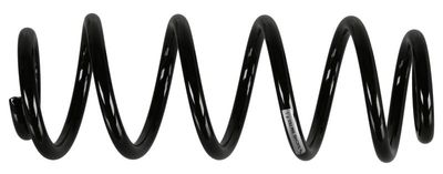 Sachs Schroefveer 994793