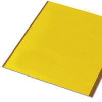 Phoenix Contact 5031676 BMK 38X11 YE Apparaatmarkering Montagemethode: Plakken Markeringsvlak: 11 x 38 mm Geel Aantal markeringen: 880 10 stuk(s)