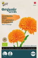 Biologische Calendula, Goudsbloem Ball's Orange - thumbnail