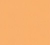 Architects Paper Floral Impression - Oranje - Uni's - 377486