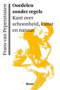 Oordelen zonder regels - Frans van Peperstraten - ebook
