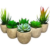 GreenDream Kunstplanten - Vetplanten in Pot 6 stuks - Cadeautip - thumbnail
