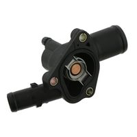 Thermostaat 24124