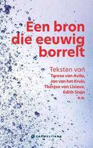 Een bron die eeuwig borrelt (Paperback)