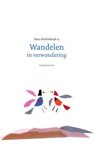 Wandelen in verwondering (Hardback)