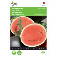 Watermeloen Sugar Baby - thumbnail
