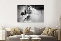 Karo-art Schilderij -Zebra in het stof,  3 luik, 120x80cm, premium print