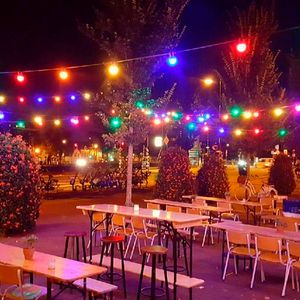 Patio Lichtsnoer kleur 40m met 48 LED