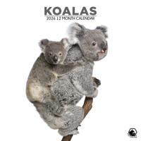 Koala Kalender 2026