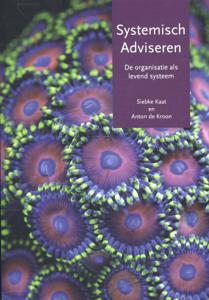 Systemisch adviseren (Paperback)