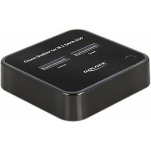 DeLOCK 64178 basisstation voor opslagstations USB 3.2 Gen 2 (3.1 Gen 2) Type-C Zwart