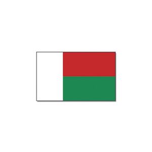 Landen thema vlag Madagaskar 90 x 150 cm feestversiering